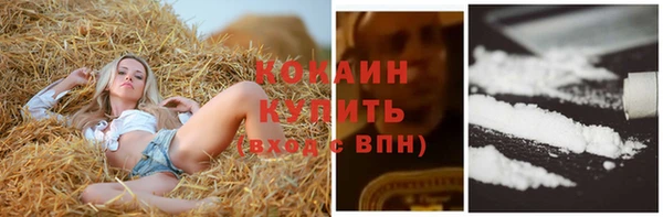 МДМА Туринск