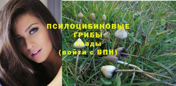 МДПВ Богданович