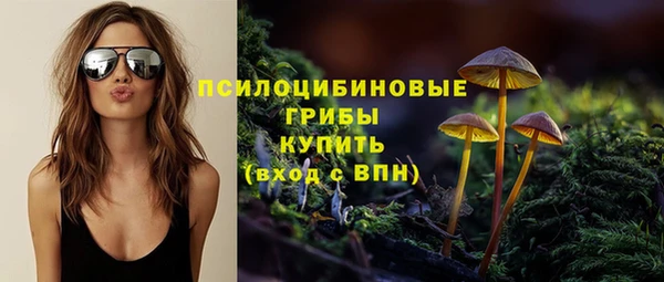 МДПВ Богданович