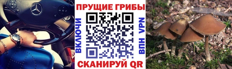 Псилоцибиновые грибы MAGIC MUSHROOMS  купить наркоту  ОМГ ОМГ ONION  Мураши 